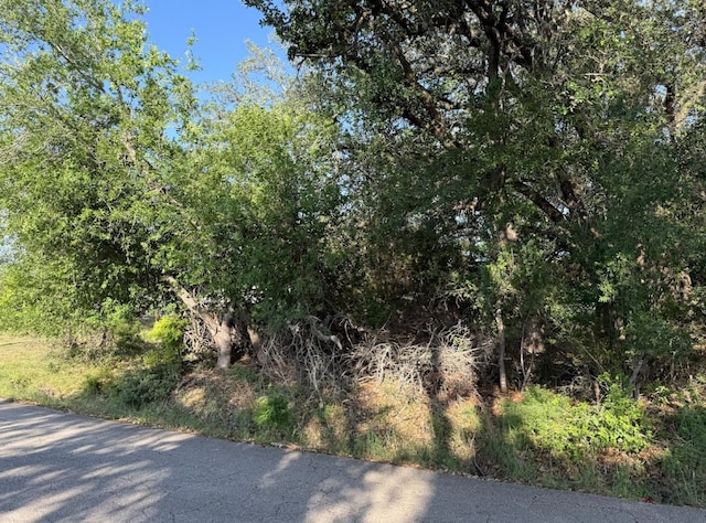 4209 Rockwood Dr, Lago Vista, TX 78645