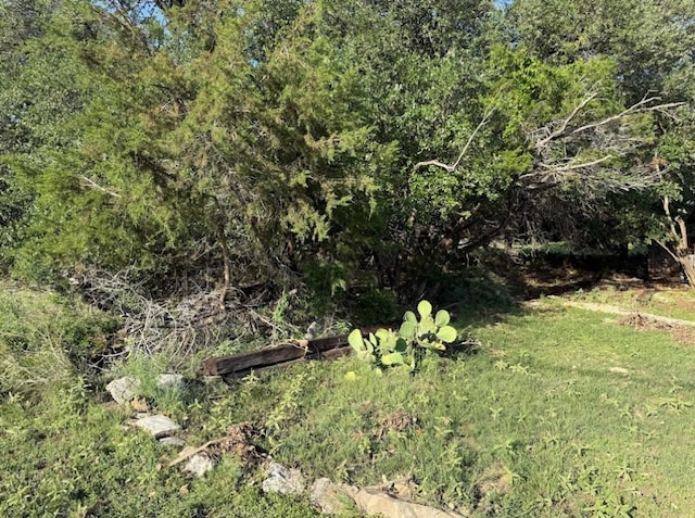 4209 Rockwood Dr, Lago Vista, TX 78645