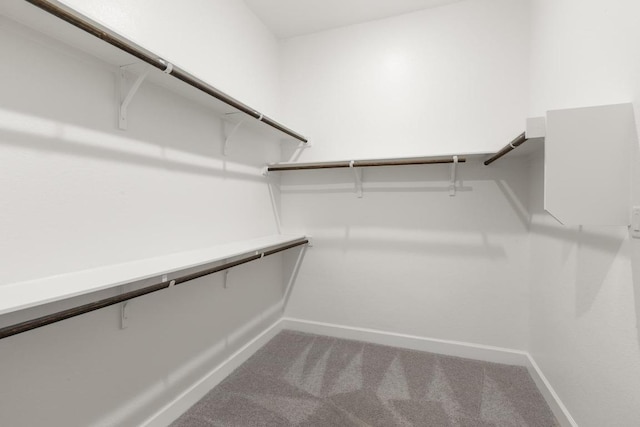 303 Kings Pine Dr, Dripping Springs, TX 78620 - walk in closet with carpet