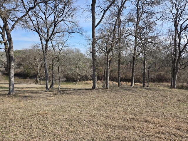 101 River Rd, Liberty Hill, TX 78642 - photo 18