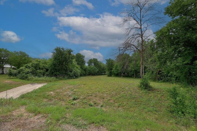 101 River Rd, Liberty Hill, TX 78642 - photo 5