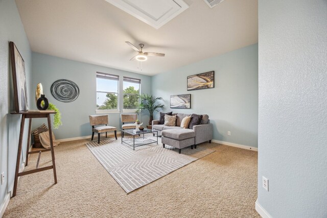 323 S Rosemary Holw, Buda, TX 78610 - photo 15