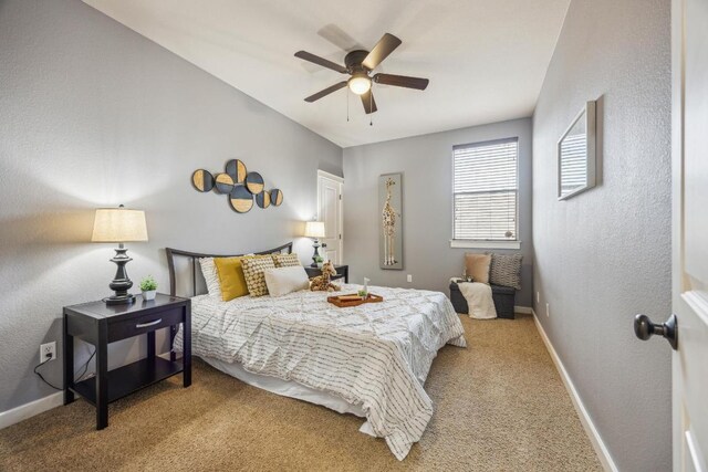 323 S Rosemary Holw, Buda, TX 78610 - photo 18