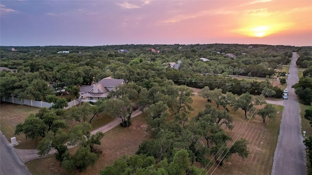 2 Laurel Hill St, Austin, TX 78737 - photo 40