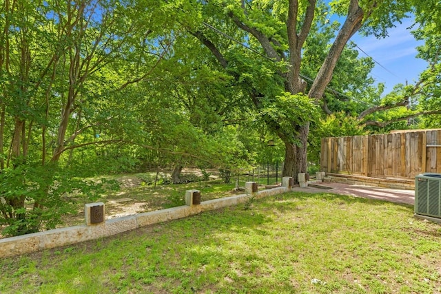 12309 Little Fatima Ln, Austin, TX 78753 - view of yard with central AC