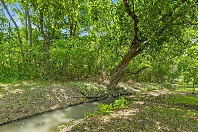 12309 Little Fatima Ln, Austin, TX 78753 - view of undeveloped land
