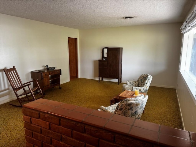 304 E Pheasant Rd, Highland Haven, TX 78654 - living area featuring carpet floors and a textured ceiling