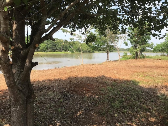153 Iroquios Dr, Smithville, TX 78957