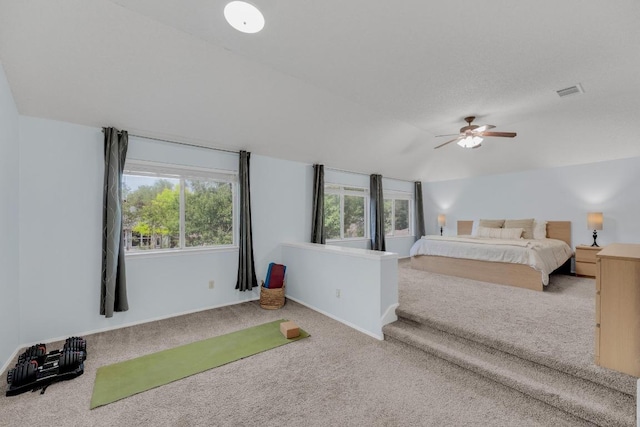 16914 Dorman Dr, Round Rock, TX 78681 - carpeted bedroom featuring vaulted ceiling and ceiling fan