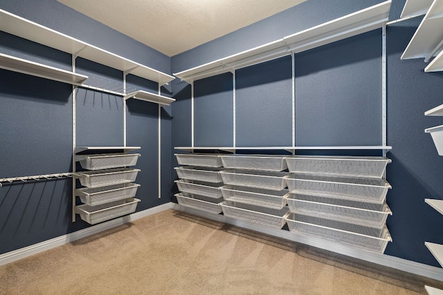 8317 Turning Trl, Austin, TX 78737 - spacious closet featuring carpet flooring