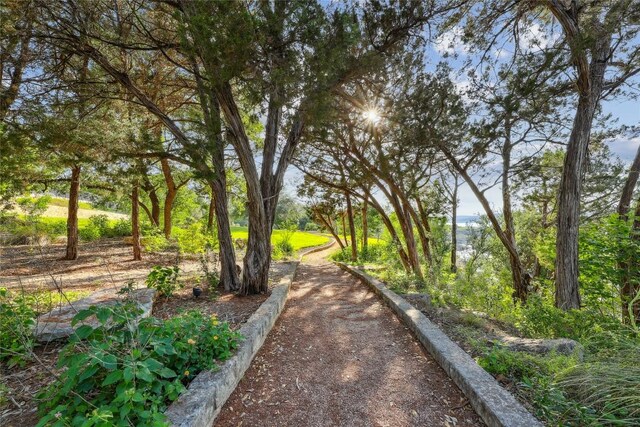 16010 Canard Cir, Austin, TX 78734 - view of property's community