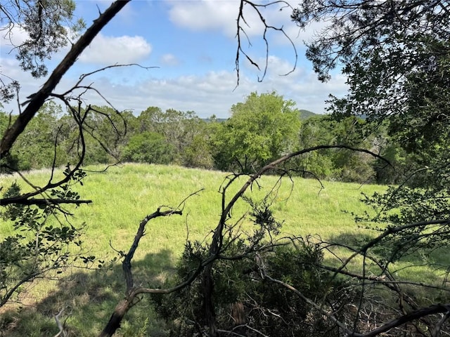 8302 Chestnut Cv, Lago Vista, TX 78645