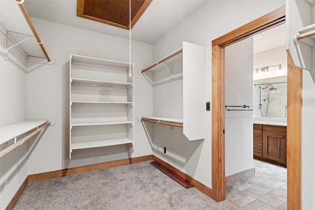 20603 Ridgeview Rd, Lago Vista, TX 78645 - spacious closet featuring light colored carpet