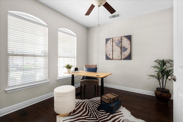 5517 Brady Bayou Cv, Austin, TX 78738 - office with wood finished floors, ceiling fan, and healthy amount of natural light