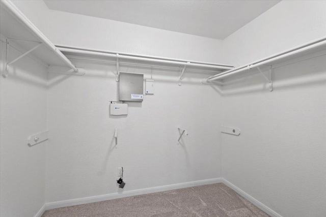 2502 Nightshade Dr, Cedar Park, TX 78613 - spacious closet with carpet floors