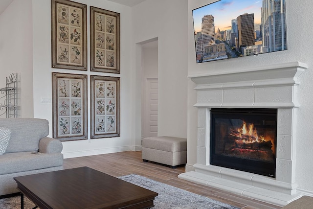1437 Argyll Park, Bulverde, TX 78163 - living room with wood finished floors, a glass covered fireplace, and baseboards