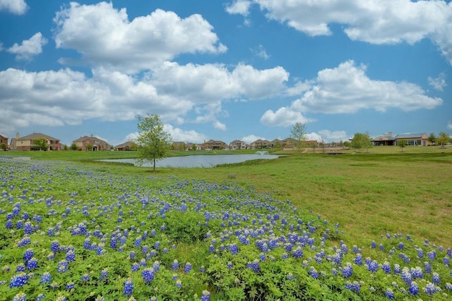 765 Bent Wood Pl, Round Rock, TX 78665 - view of green lawn with a water view and a residential view