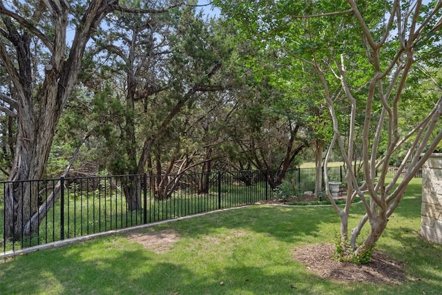 259 Red Poppy Trl, Georgetown, TX 78633 - view of yard