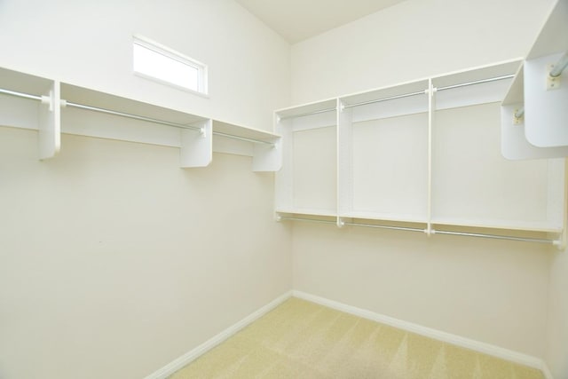 115 Blazing Star Dr, Georgetown, TX 78633 - walk in closet featuring carpet