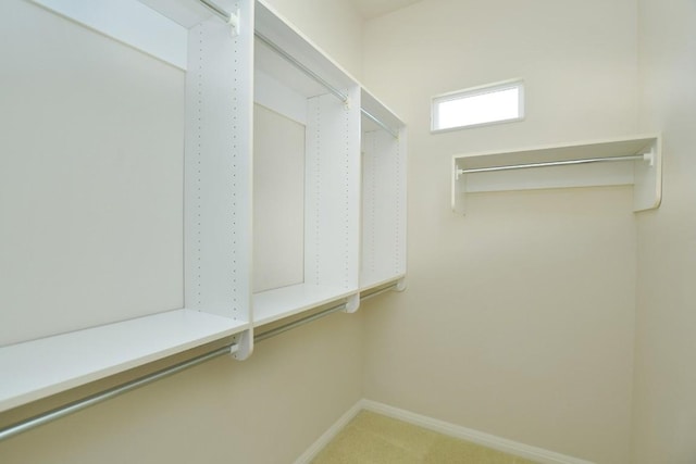 115 Blazing Star Dr, Georgetown, TX 78633 - spacious closet with carpet floors