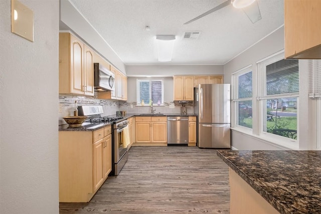 7503 Islander Dr, Austin, TX 78749 - kitchen featuring stainless steel appliances, light brown cabinetry, plenty of natural light, a textured ceiling, and wood finished floors