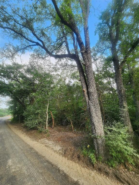 TBD Post Oak Rim Dr, Bastrop, TX 78602