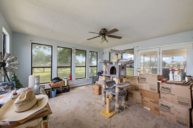 401 Patriot Way, Georgetown, TX 78626 - view of sunroom
