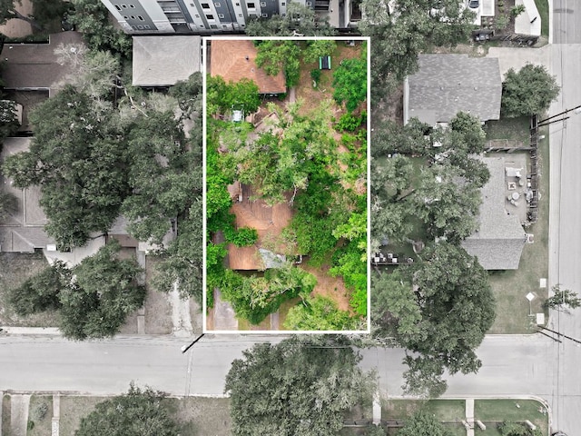 3905 Willbert Rd, Austin, TX 78751