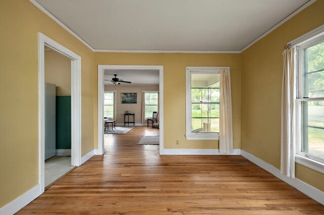 3905 Willbert Rd, Austin, TX 78751