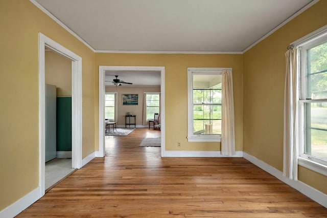 3905 Willbert Rd, Austin, TX 78751