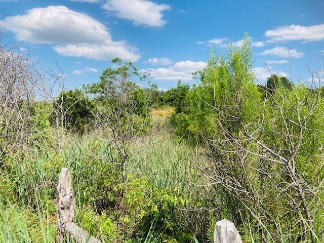 1900 County Road 116b, Burnet, TX 78611 - photo 6