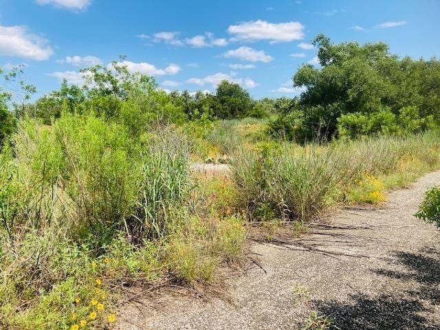 1900 County Road 116b, Burnet, TX 78611 - photo 13