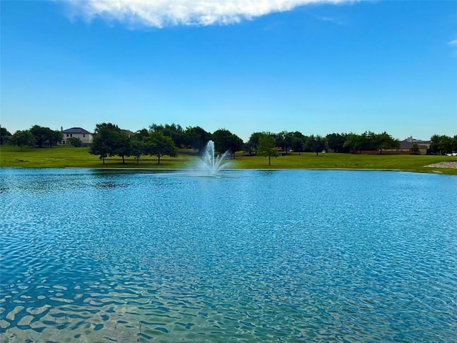 4233 Fairmeadow Dr, Round Rock, TX 78665 - water view