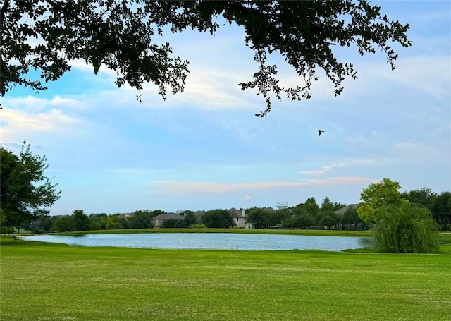 4233 Fairmeadow Dr, Round Rock, TX 78665 - view of property's community with a water view and a lawn