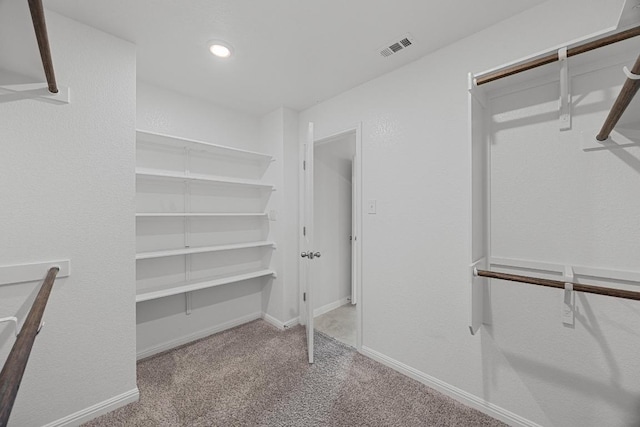 spacious closet with carpet
