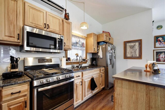 472 Mountain View Dr, Bandera, TX 78003 - kitchen featuring appliances with stainless steel finishes, a sink, dark wood-style flooring, light brown cabinets, and vaulted ceiling
