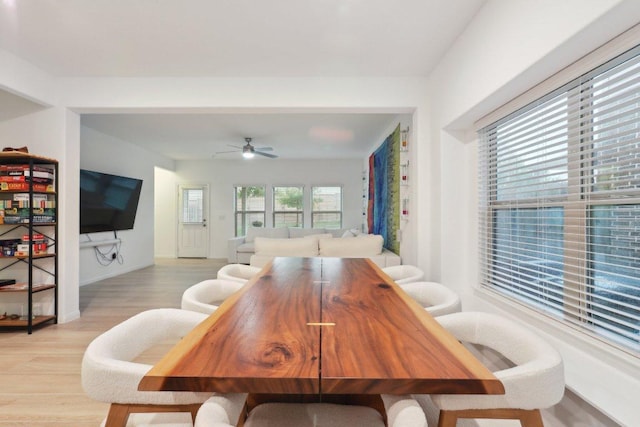 1107 Cadence Dr, Pflugerville, TX 78660 - dining area with light wood-style flooring, ceiling fan, and baseboards