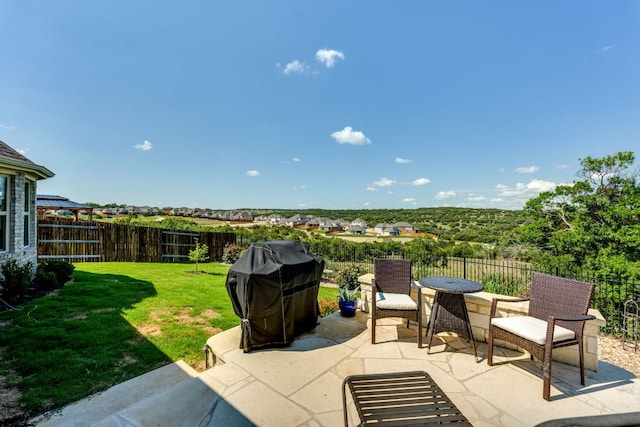 22208 Coyote Cave Trl, Spicewood, TX 78669 - view of patio / terrace with area for grilling