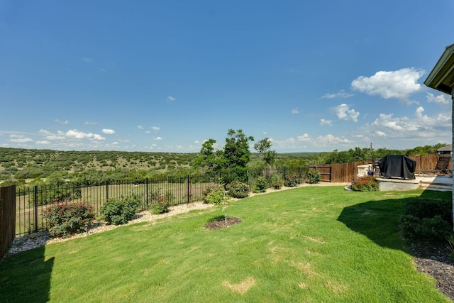 22208 Coyote Cave Trl, Spicewood, TX 78669 - view of yard