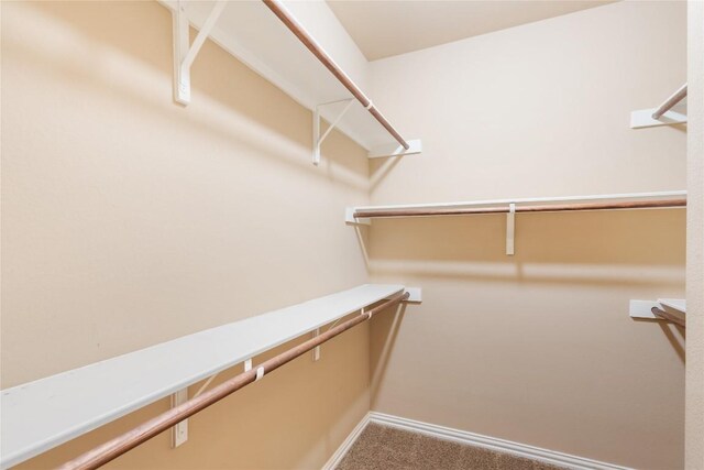217 Orchard Hill Trl, Buda, TX 78610 - walk in closet featuring carpet