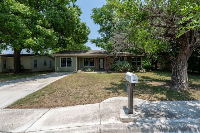 1203 Haynes St, San Marcos, TX 78666 - ranch-style home featuring a front yard and concrete driveway