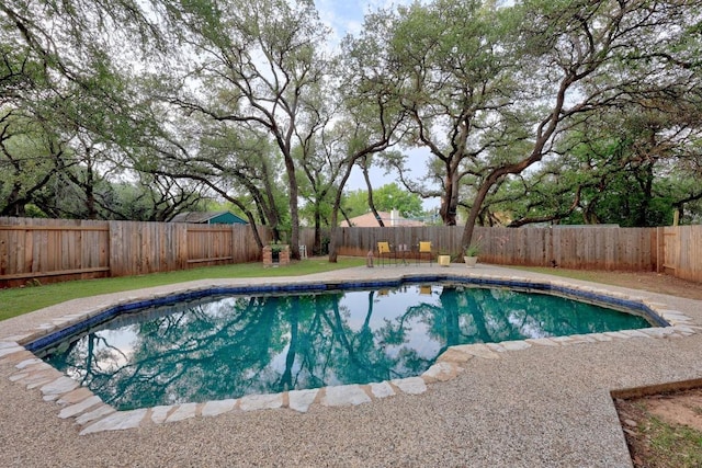 1303 Shady Grove Path, Cedar Park, TX 78613 - view of swimming pool featuring a fenced backyard