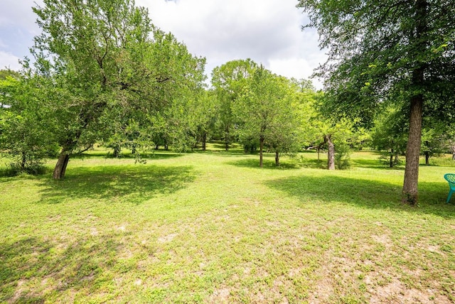 68 Riverside Ln, Martindale, TX 78655 - photo 15