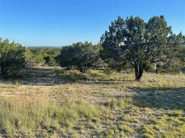 498 Aspen Cir, Killeen, TX 76549 - photo 34
