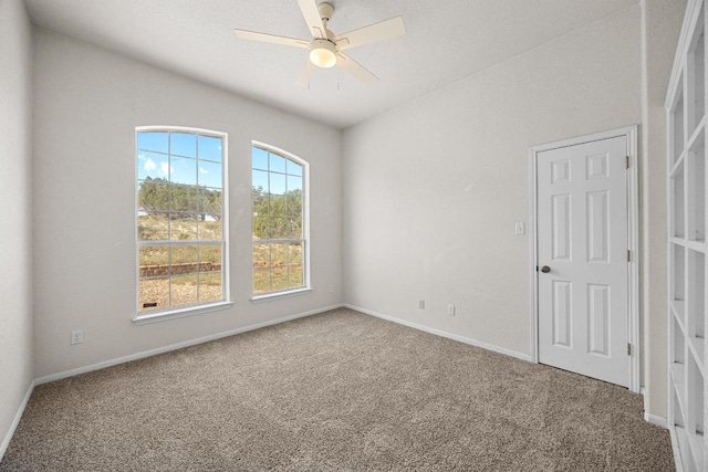 498 Aspen Cir, Killeen, TX 76549 - photo 19