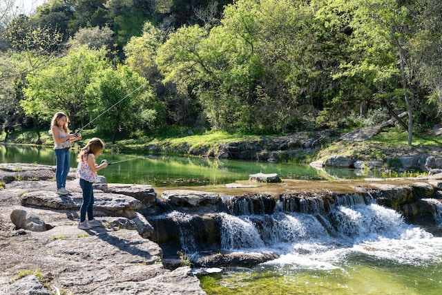 11949 Overlook Pass, Austin, TX 78738 - surrounding community with a forest view and a water view