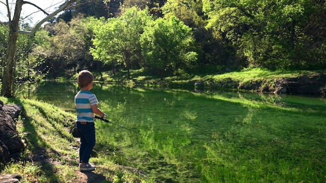 11949 Overlook Pass, Austin, TX 78738 - photo 2