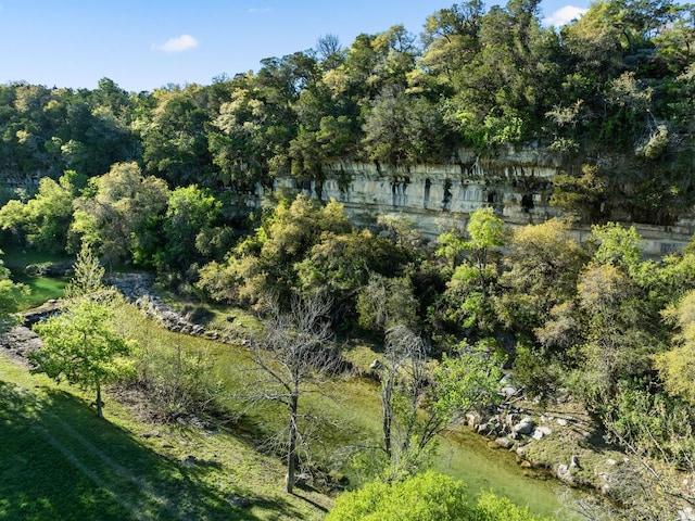 11949 Overlook Pass, Austin, TX 78738 - aerial view of property's location with a heavily wooded area