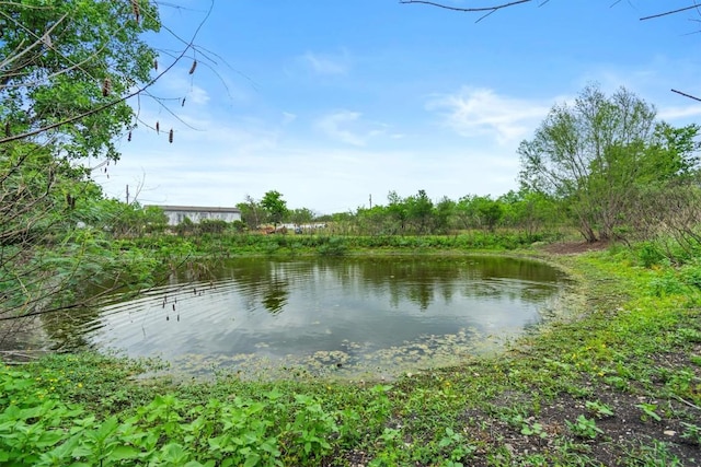 726 Mesa Dr, Del Valle, TX 78617 - water view