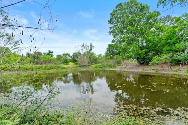 726 Mesa Dr, Del Valle, TX 78617 - water view
